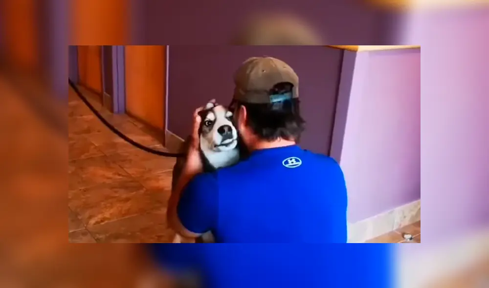 En Facebook, un joven realizó una intensa búsqueda para dar con el paradero de su perro y años después lo encontró en un albergue. En Facebook, un joven realizó una intensa búsqueda para dar con el paradero de su perro y años después lo encontró en un albergue.