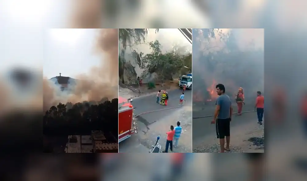 Reportan incendio forestal en San Juan de Miraflores. Foto: Captura de video / Facebook