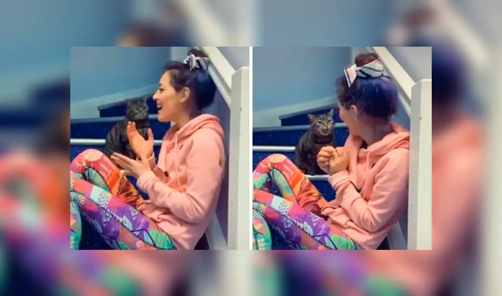 Desliza las imágenes para conocer el comportamiento de un gato para impedir que su dueña siga cantando.