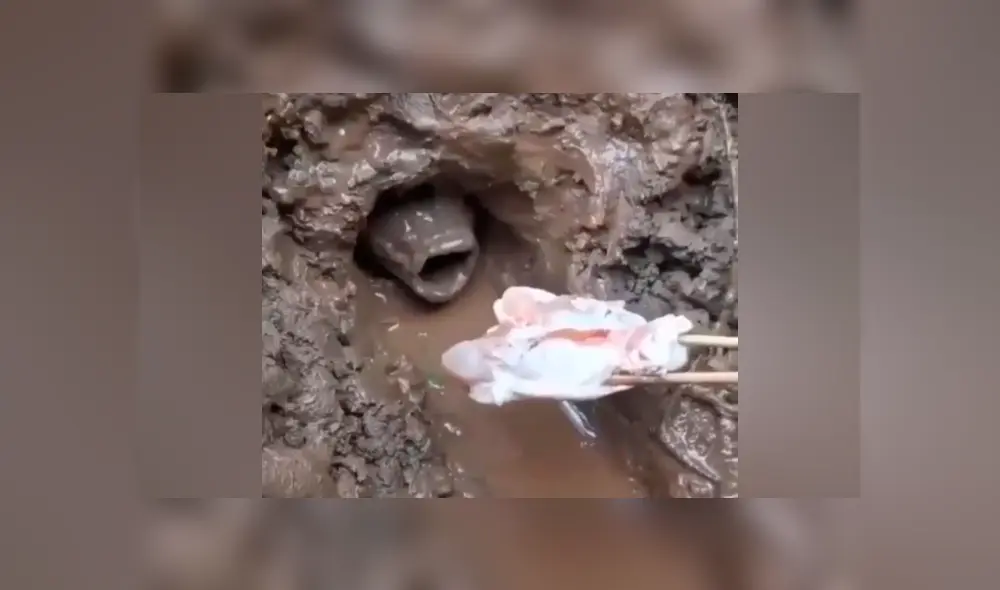 Desliza hacia la izquierda para ver la extraña pesca que hizo un joven tailandés.  Imágenes de Facebook.