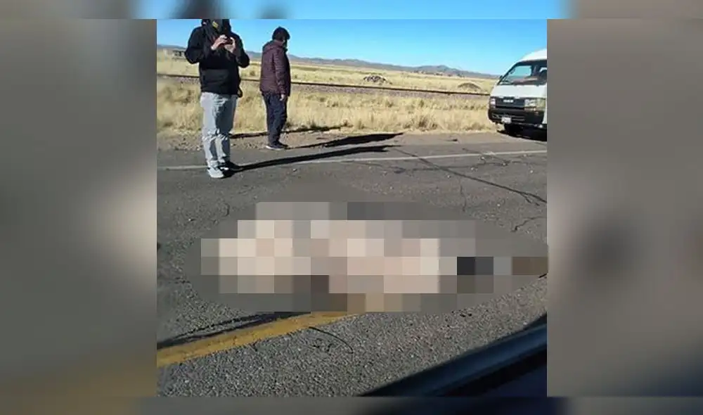 Foto referencial. Foto referencial.