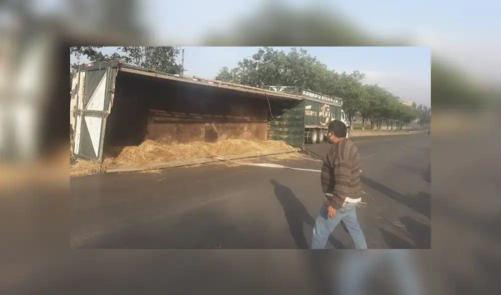 Animales muertos y vivos fueron retirados por la propia compañía que los trasladaba, mientras que el chofer y el camión fueron llevados a la comisaría de Monterrico. (Foto: Municipalidad de Surco)