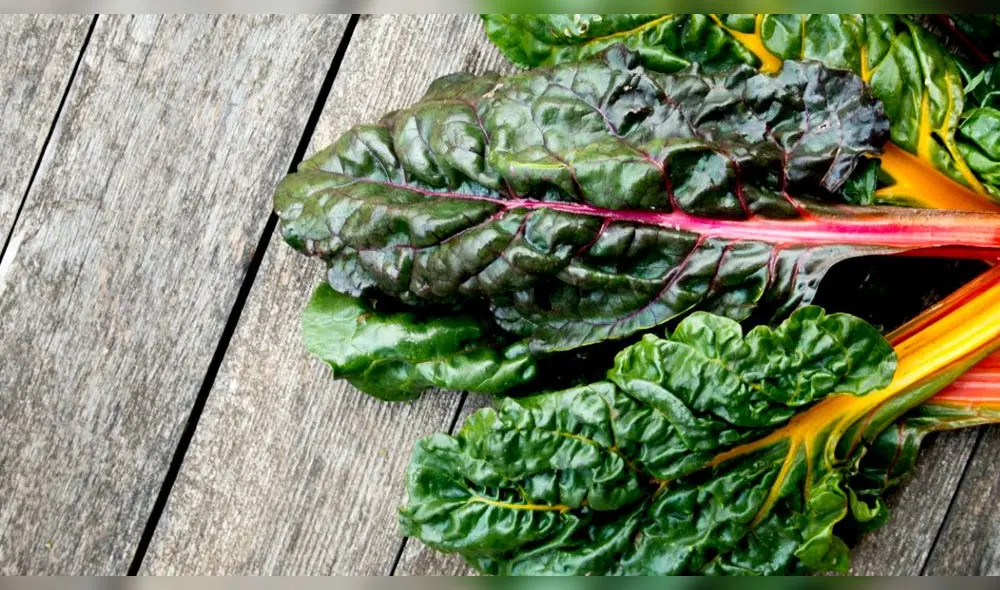 Remedios caseros para la gastritis