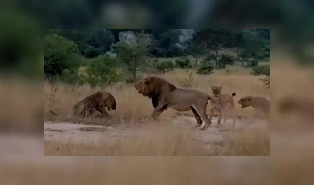 Desliza la imagen de YouTube para verlas todas. Desliza la imagen de YouTube para verlas todas.