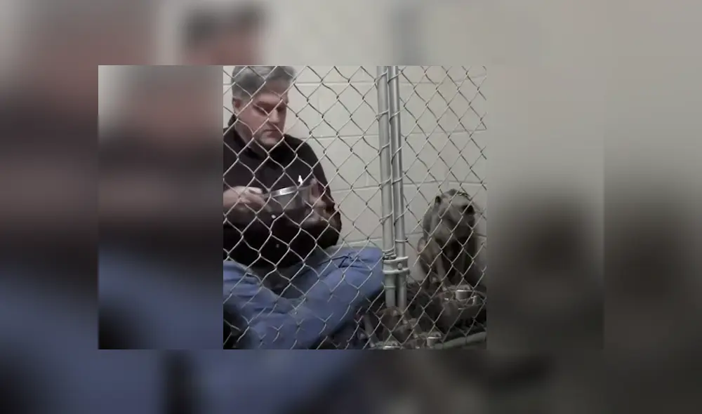 Facebook viral: veterinario aplica ‘truco’ para ganarse confianza de perro callejero y así hacerlo comer Facebook viral: veterinario aplica ‘truco’ para ganarse confianza de perro callejero y así hacerlo comer