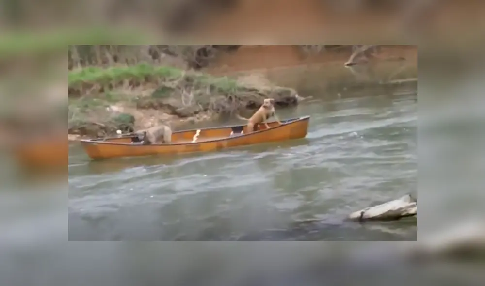 Desliza hacia la izquierda para ver más del video viral Desliza hacia la izquierda para ver más del video viral