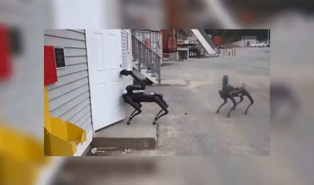 En Estados Unidos comenzaron a usar perros robots durante operativos policiales [VIDEO]