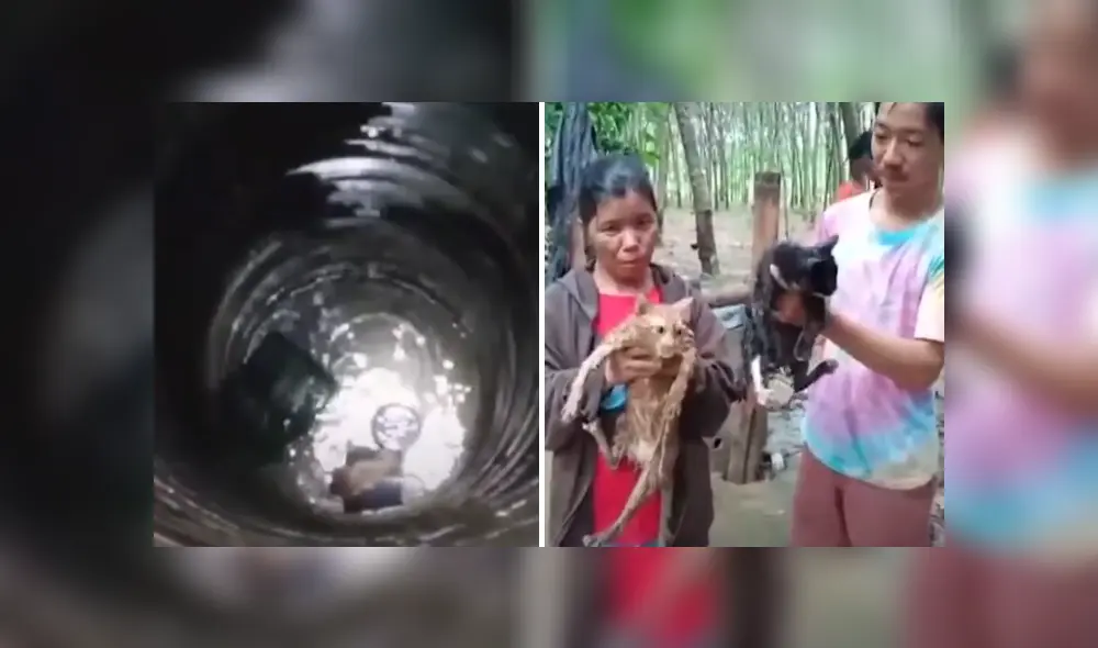 Desliza hacia la izquierda para ver las imágenes del viral de YouTube. Foto: Viral Press Desliza hacia la izquierda para ver las imágenes del viral de YouTube. Foto: Viral Press