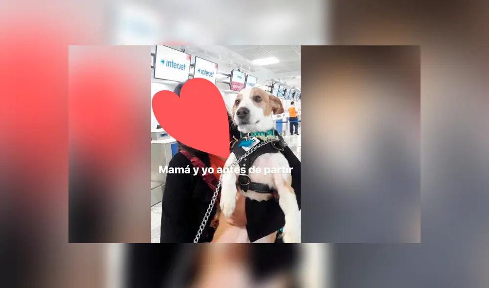 Desliza para ver los detalles de esta historia que conmovió a todos en Facebook. Foto: Captura. Desliza para ver los detalles de esta historia que conmovió a todos en Facebook. Foto: Captura.