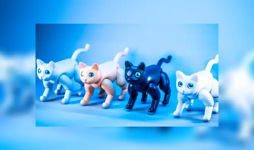 Desliza a la izquierda para descubrir este tierno robot. Desliza a la izquierda para descubrir este tierno robot.