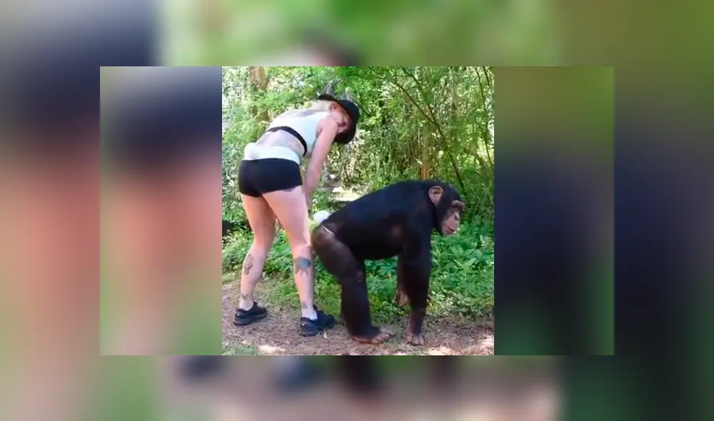 YouTube viral: joven mujer realiza atrevido baile, mono la imita y final conmueve [VIDEO]