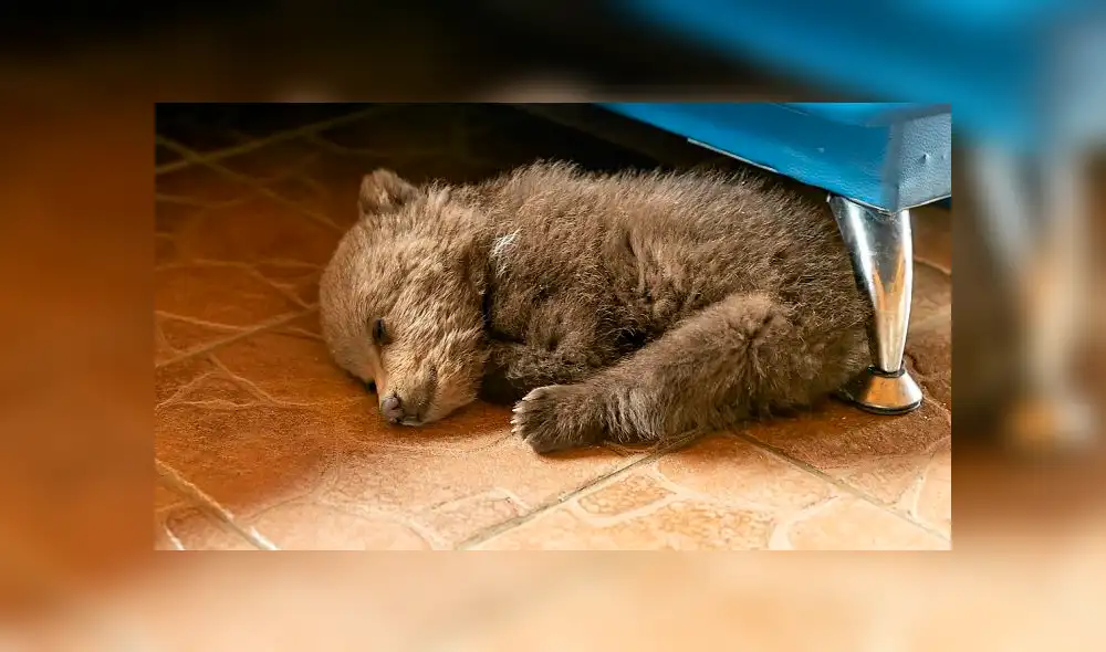 Desliza la imagen de Facebook para ver todas las conmovedoras fotos. Desliza la imagen de Facebook para ver todas las conmovedoras fotos.