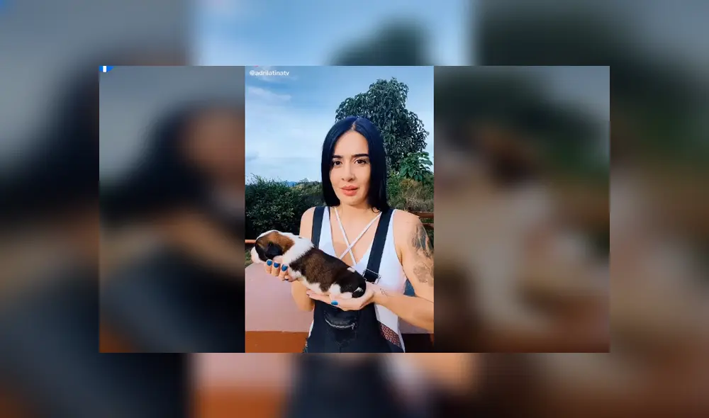 Desliza para ver los detalles del video viral publicado en YouTube. Foto: Captura.