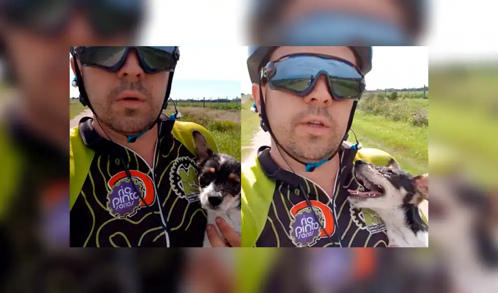 Facebook: ciclista rescata a perro infectado por garrapatas en plena carretera [VIDEO]