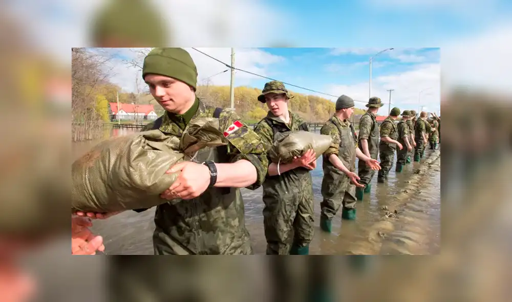 Ejército de Canadá se tomó en serio el fenómeno. Ejército de Canadá se tomó en serio el fenómeno.