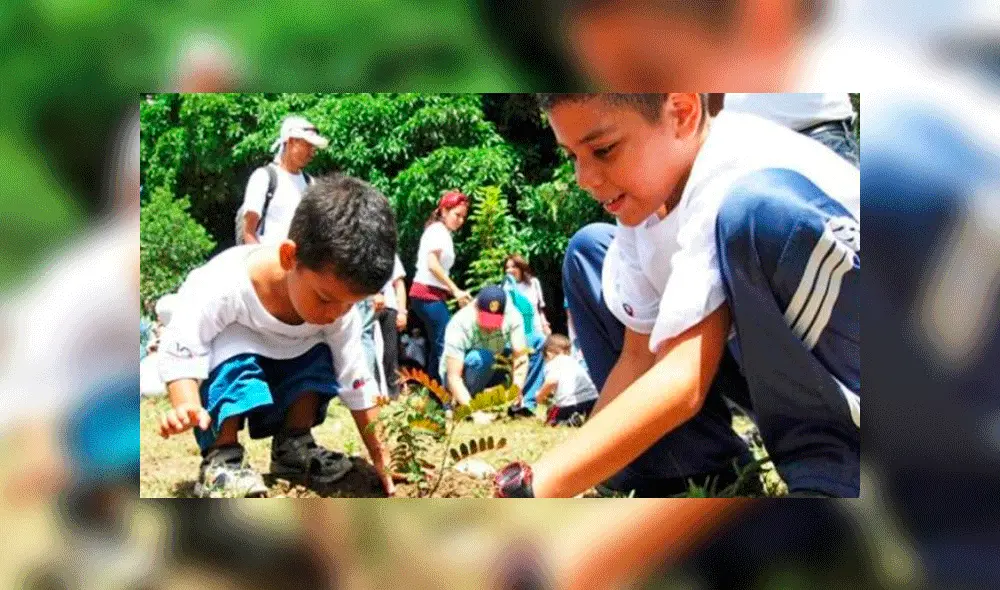 Más del 70% de niños están interesados en el cuidado del medio ambiente, según estudio. Foto: Difusión