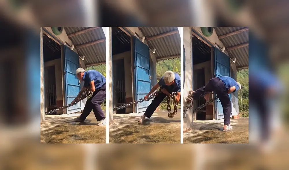 En YouTube, un hombre lidiaba con un enorme animal atado con unas cadenas y sorprendió a sus vecinos. En YouTube, un hombre lidiaba con un enorme animal atado con unas cadenas y sorprendió a sus vecinos.