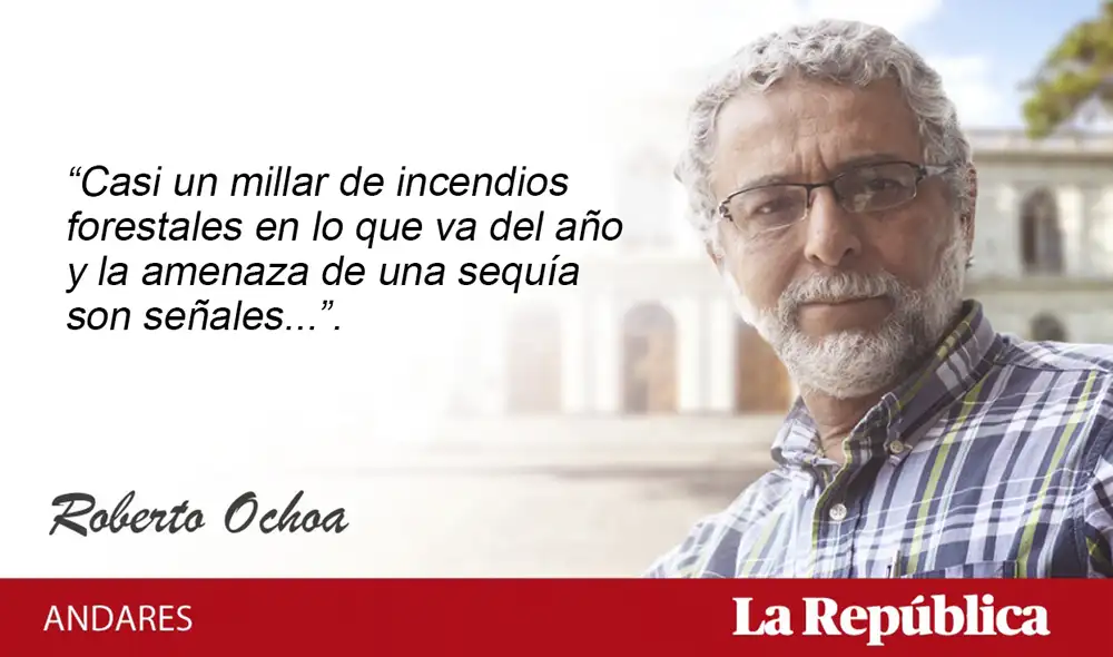 Roberto Ochoa Roberto Ochoa