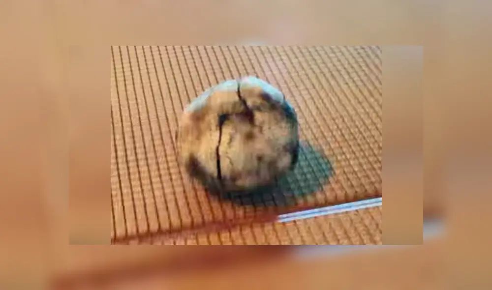 YouTube viral: joven experimenta colocando un huevo dentro de vaso con Coca Cola por un año [VIDEO] 