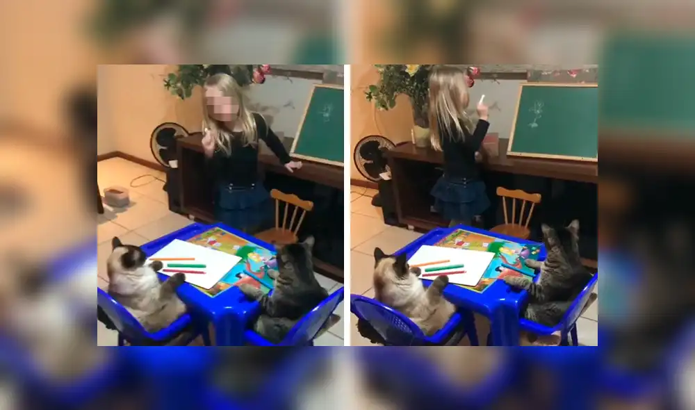 Desliza las imágenes hacia la izquierda para conocer el emotivo momento de una pequeña junto a sus mascotas. Desliza las imágenes hacia la izquierda para conocer el emotivo momento de una pequeña junto a sus mascotas.