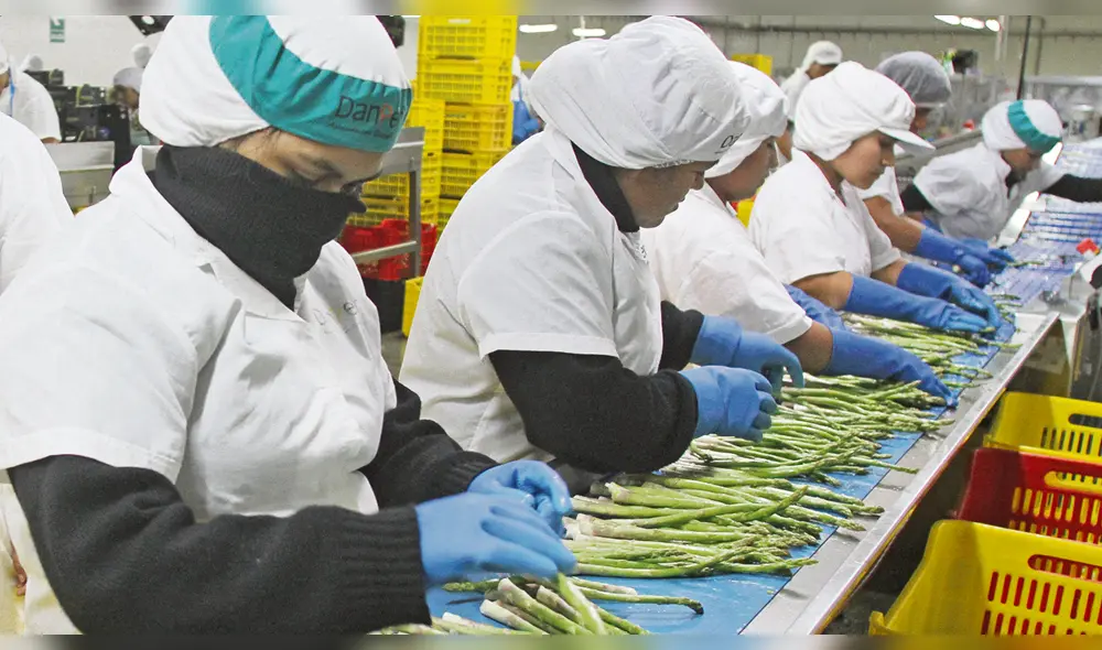 Mujeres luchadoras. Se esfuerzan cada día por laborar duro para sacar adelante a sus familias.
