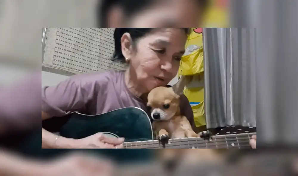 Tailandesa interpreta ‘Hey jude’ de The Beatles junto a su chihuahua y sorprende por su talento [VIDEO]