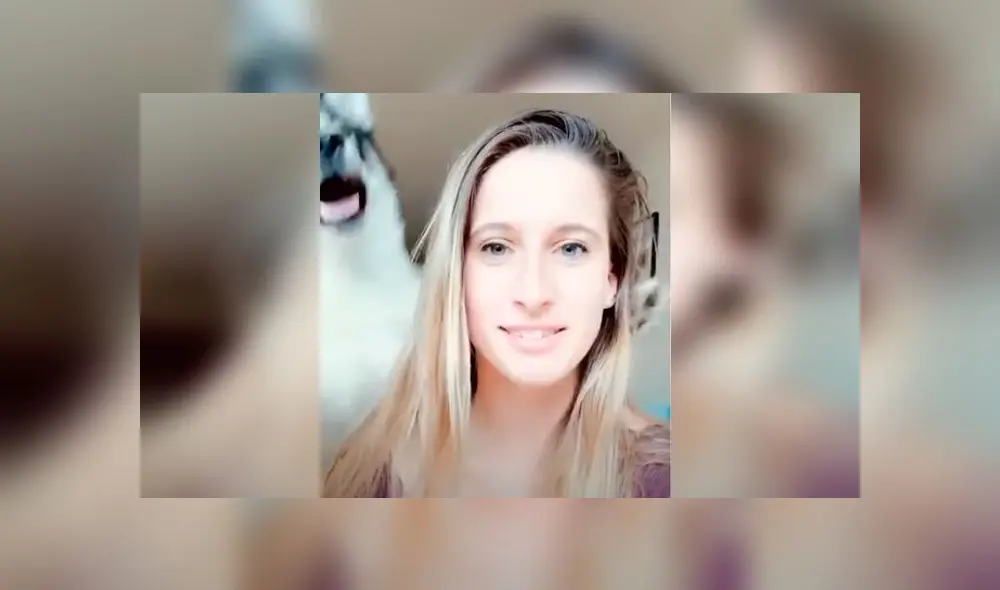 Desliza las imágenes para ver la peculiar reacción que tiene un perro husky siberiano al ve que su dueña quiere tomarse un selfie. Foto: RM Videos Desliza las imágenes para ver la peculiar reacción que tiene un perro husky siberiano al ve que su dueña quiere tomarse un selfie. Foto: RM Videos