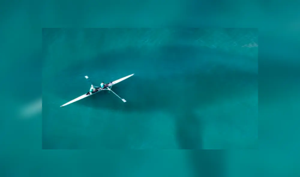 YouTube viral: gigantesca criatura marina embiste barco de Japón y miles quedan impactados [VIDEO]