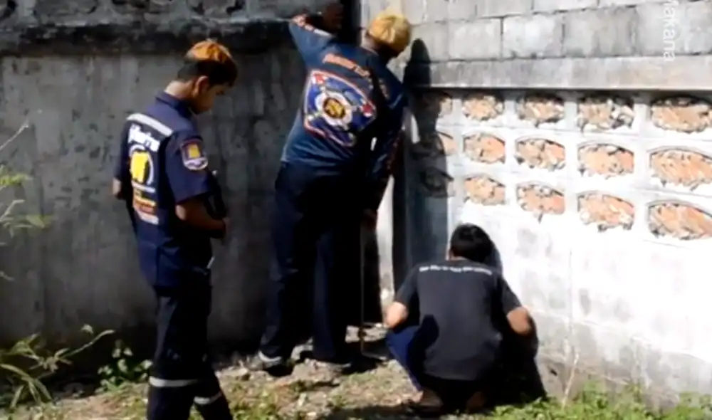 La operación de rescate duró 15 minutos. Foto: Newsflare