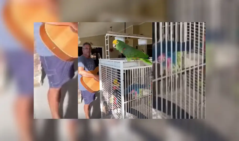 Desliza hacia la izquierda para ver más del video viral. Fotocaptura: Facebook