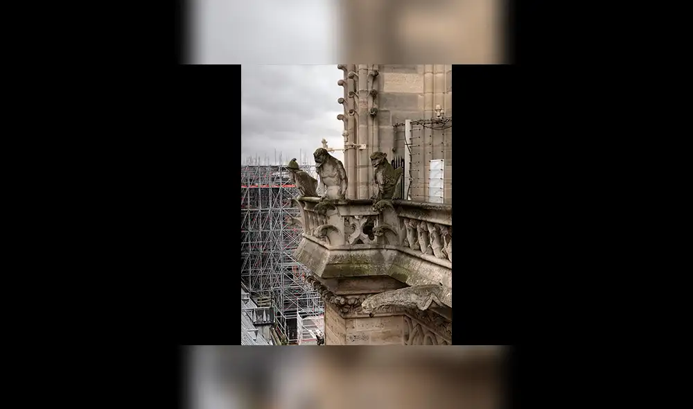 Google Maps: Captan 'extrañas figuras' rondando la catedral de Notre Dame en Francia [FOTOS]
