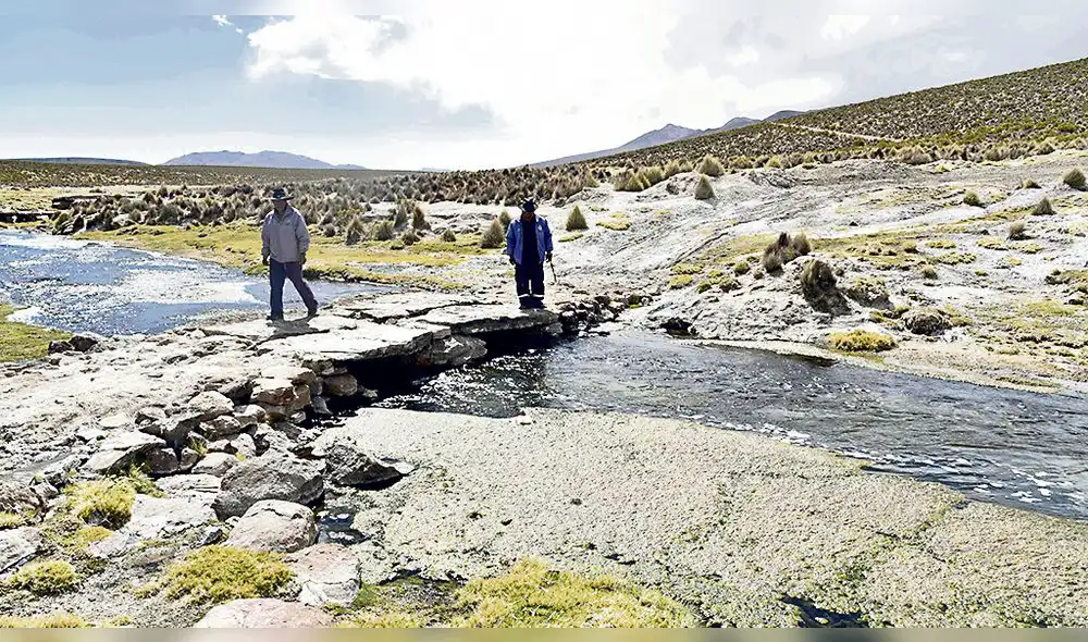 temor. Pobladores temen que se secarán los bofedales.