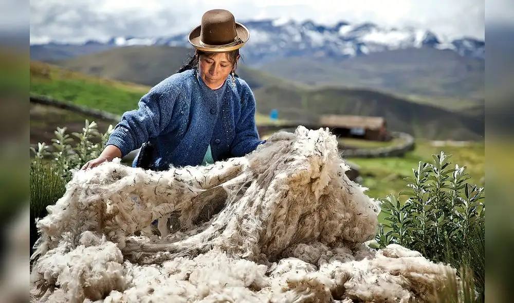 Productos peruanos se posicionarán en Rusia con la oportunidad del Mundial Productos peruanos se posicionarán en Rusia con la oportunidad del Mundial