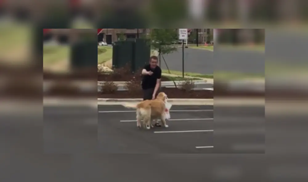 Desliza hacia la izquierda para ver más imágenes de este 'atento' perro que llamó al atención de miles. (Foto: captura / Facebook) Desliza hacia la izquierda para ver más imágenes de este 'atento' perro que llamó al atención de miles. (Foto: captura / Facebook)
