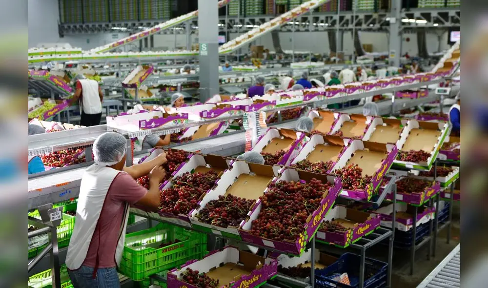 Foto: Provid Foto: Provid