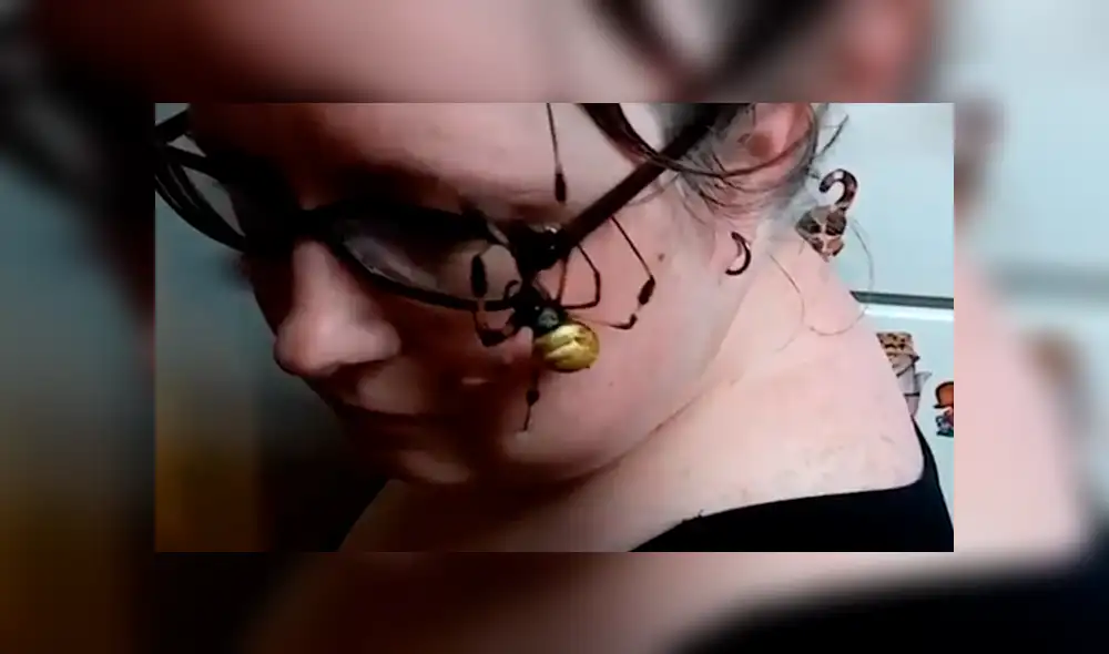 Facebook viral: retan para que joven coloque peligrosa araña en su rostro y sucede lo inesperado [VIDEO]