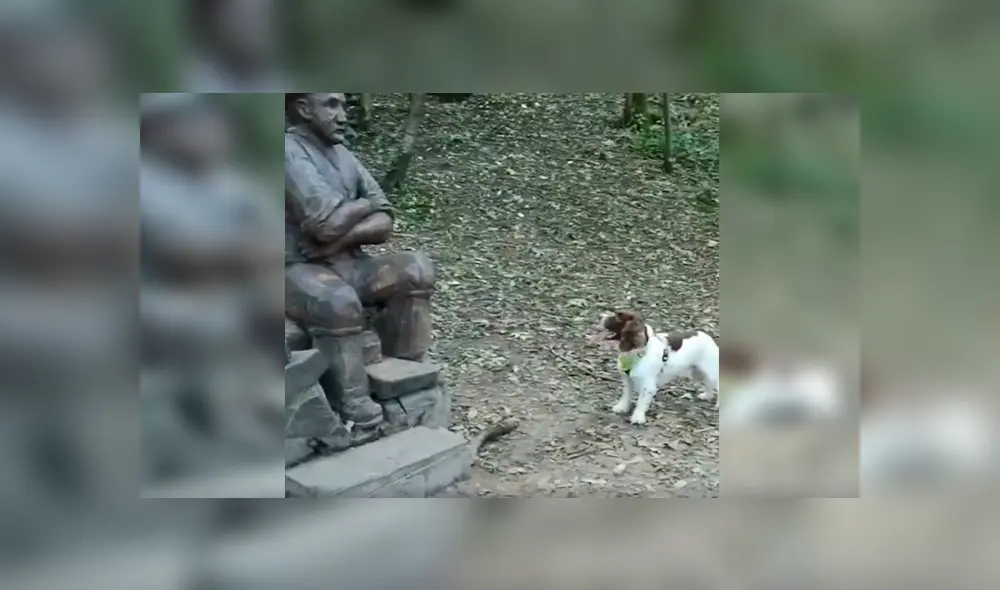 En Facebook, un tierno perro se emocionó con una estatua al creer que se trataba de su fallecido dueño.