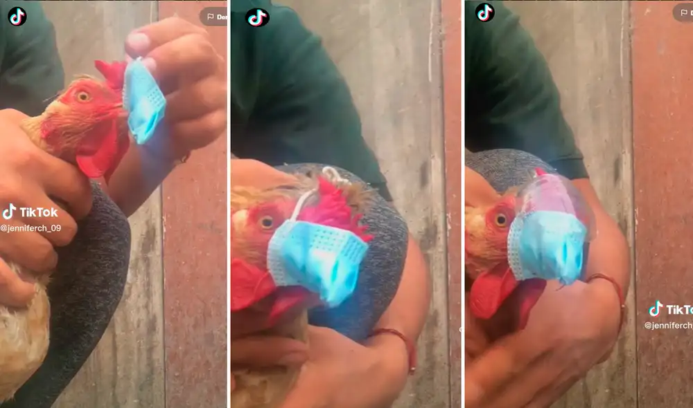 Las imágenes han alcanzado el medio millón de reproducciones. Foto: composición de LR/ captura de TikTok/@Jenniferch_09 Las imágenes han alcanzado el medio millón de reproducciones. Foto: composición de LR/ captura de TikTok/@Jenniferch_09