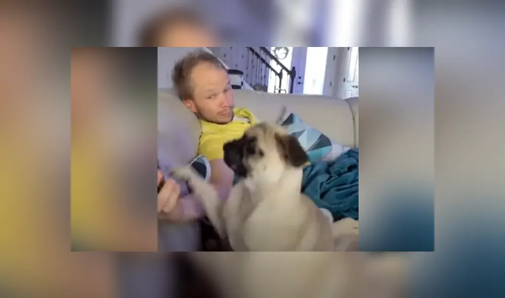 Desliza hacia la izquierda para ver las imágenes del viral de Facebook. Foto: Captura.