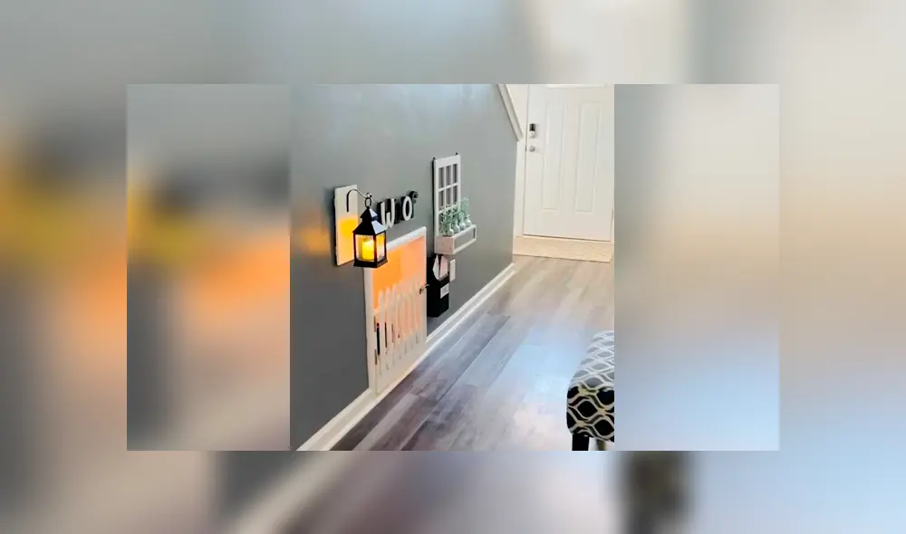 Desliza las imágenes para conocer el impresionante cuarto que armó un joven para sus pequeños perros.