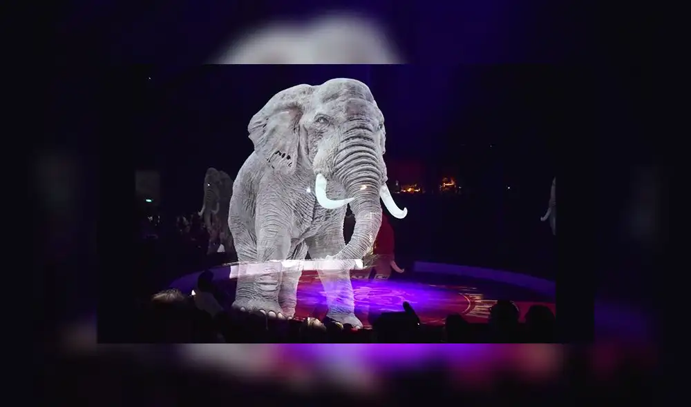 YouTube: circo de Alemania sorprende con show de animales en hologramas [VIDEO]