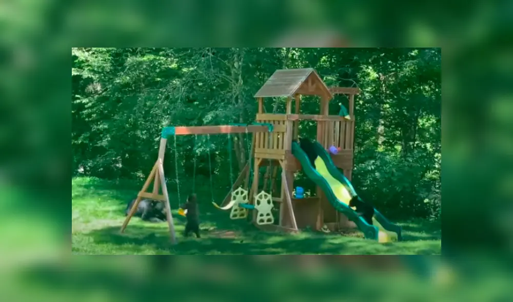 Desliza las imágenes para observar las travesuras de una mamá oso junto a sus crías al invadir una casa. Foto: ViralHog. Desliza las imágenes para observar las travesuras de una mamá oso junto a sus crías al invadir una casa. Foto: ViralHog.