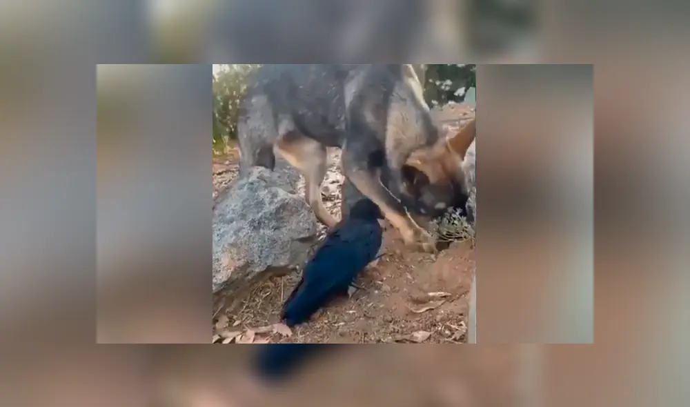 Desliza para ver los momentos más emotivos del video que se hizo viral en YouTube. Desliza para ver los momentos más emotivos del video que se hizo viral en YouTube.