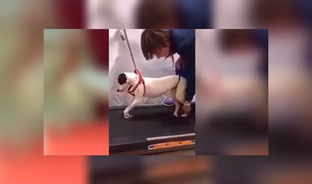 Desliza para ver los detalles de este conmovedor video viral de Facebook. Foto: Captura. Desliza para ver los detalles de este conmovedor video viral de Facebook. Foto: Captura.