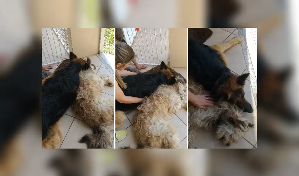 Desliza las imágenes para ver más detalles de esta dramática escena que se hizo viral en YouTube. (Foto: captura) Desliza las imágenes para ver más detalles de esta dramática escena que se hizo viral en YouTube. (Foto: captura)