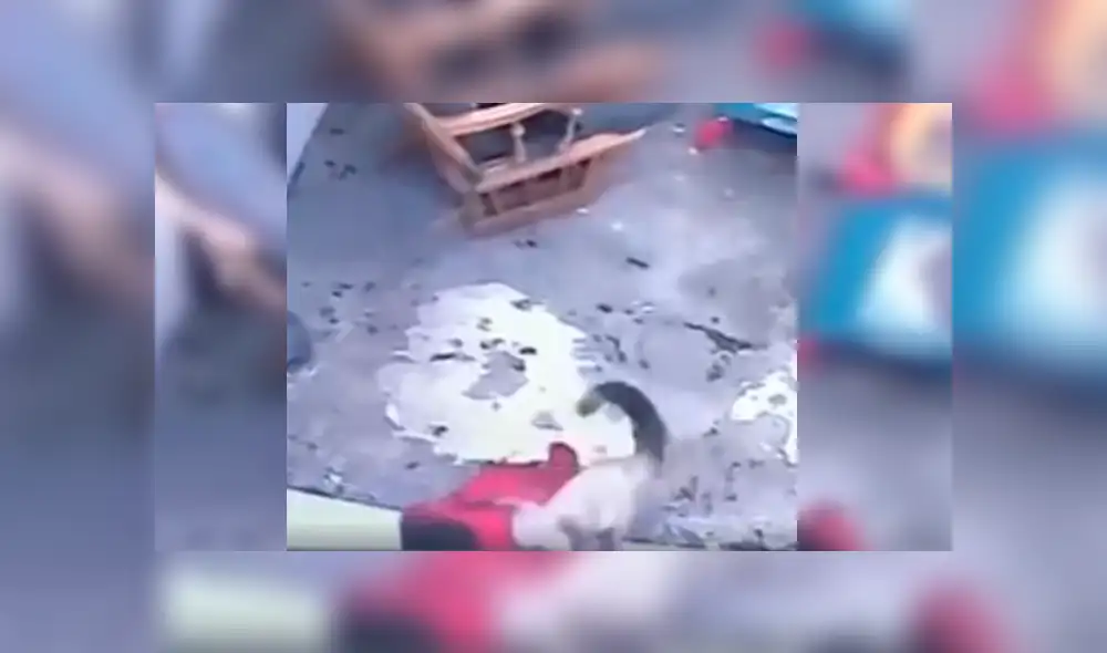 Video es viral en YouTube. Mujer quedó sorprendida cuando revisó las imágenes de la cámara de seguridad y vio el insólito suceso