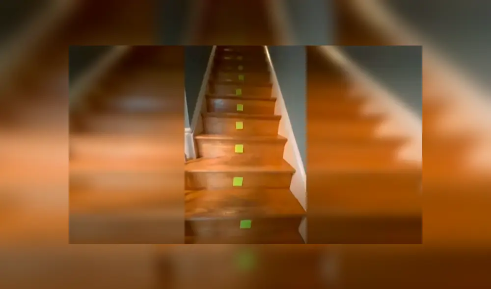 Desliza las imágenes para apreciar el pedido de una joven a su madre para adoptar a un hámster en casa. Fotocaptura: ViralHog. Desliza las imágenes para apreciar el pedido de una joven a su madre para adoptar a un hámster en casa. Fotocaptura: ViralHog.