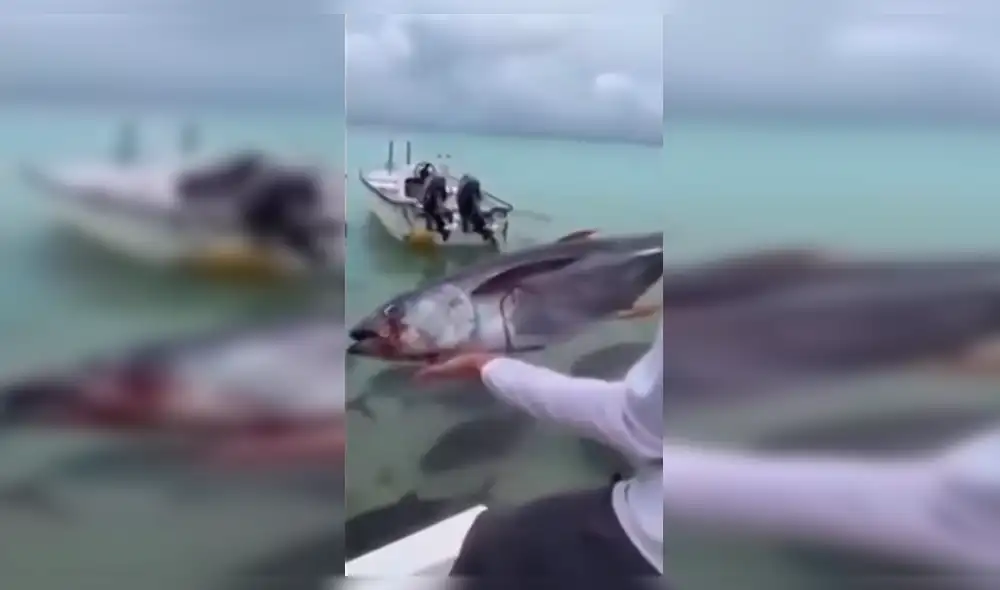 YouTube Viral: Arrojó pez a río lleno de pirañas y algo increíble pasó [VIDEO]