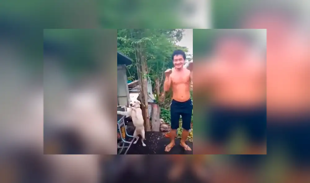 Desliza las imágenes hacia la izquierda para apreciar los pasos de bailar que realizó un perro junto a su dueño.