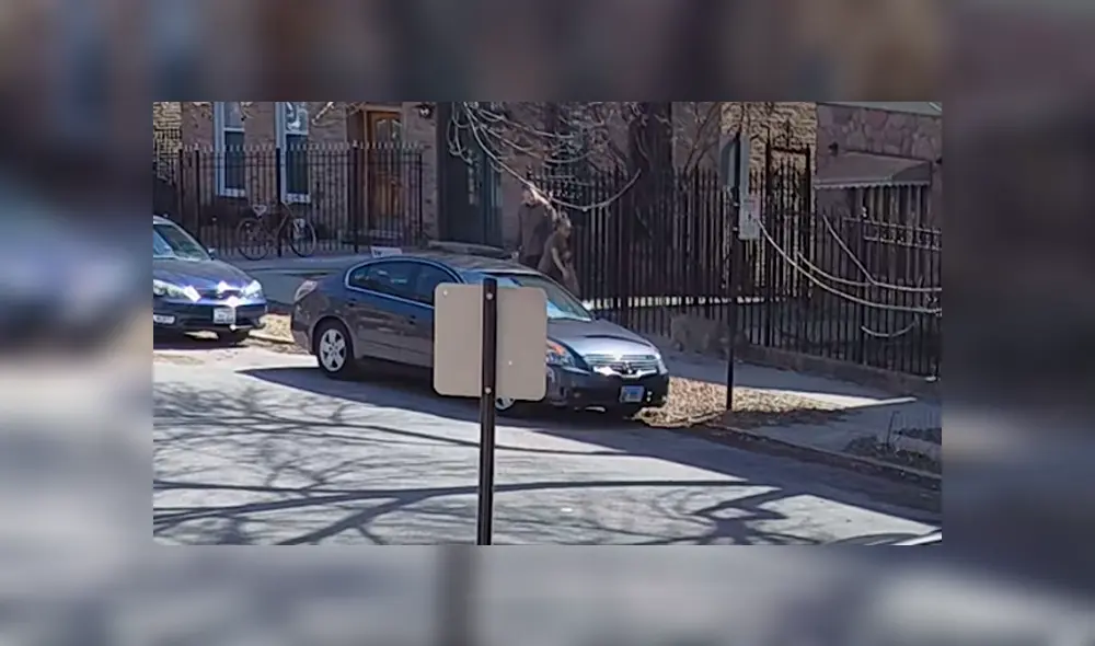 Desliza hacia la izquierda para ver imágenes de YouTube de la osada reacción del hombre que se enfrentó con un pitbull. Desliza hacia la izquierda para ver imágenes de YouTube de la osada reacción del hombre que se enfrentó con un pitbull.